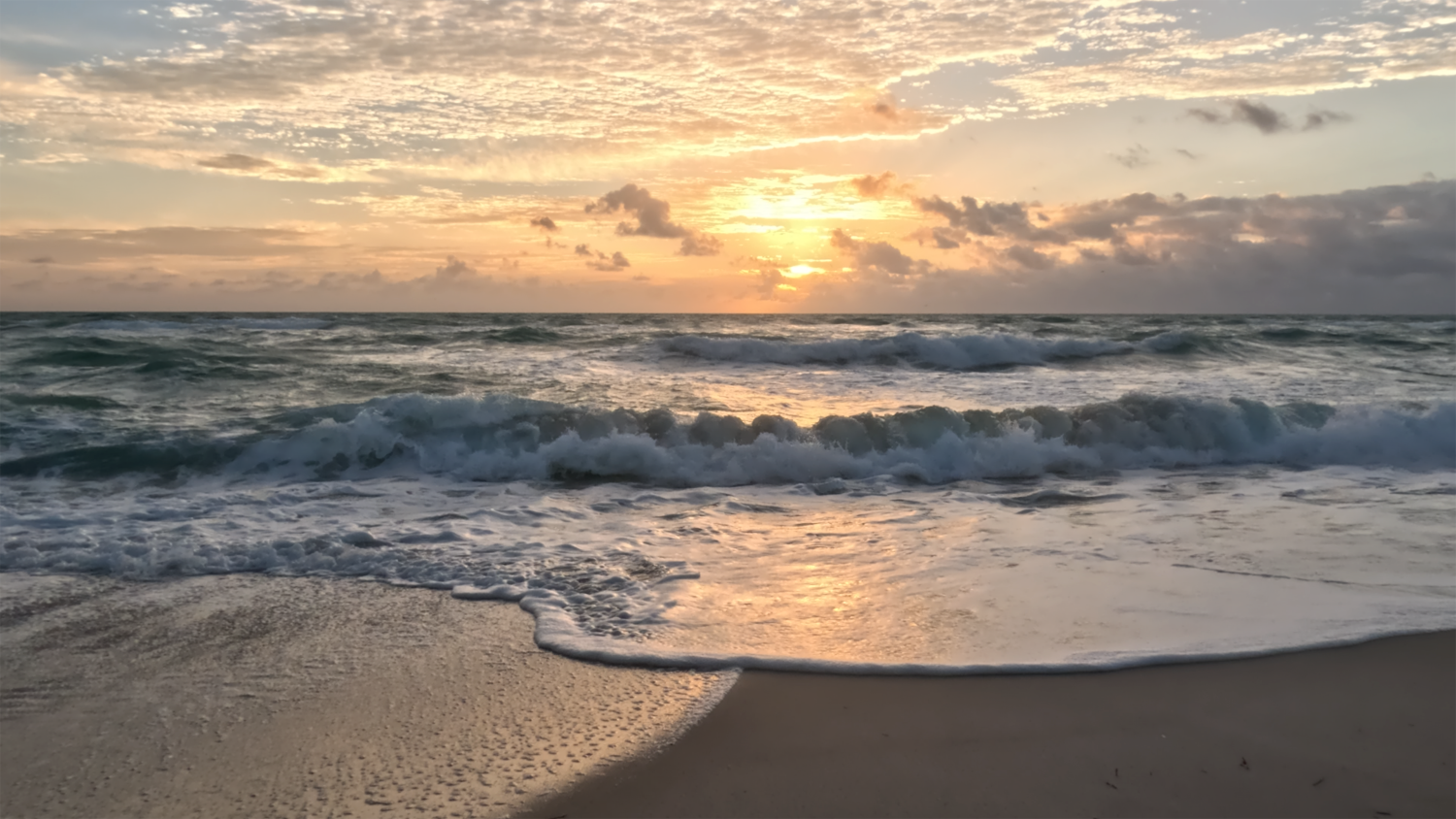 Open Water Meditation with Wendy Wischer and Octavio Campos